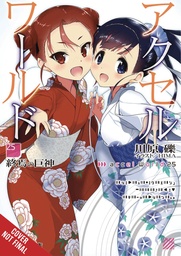 ACCEL WORLD LIGHT NOVEL 25