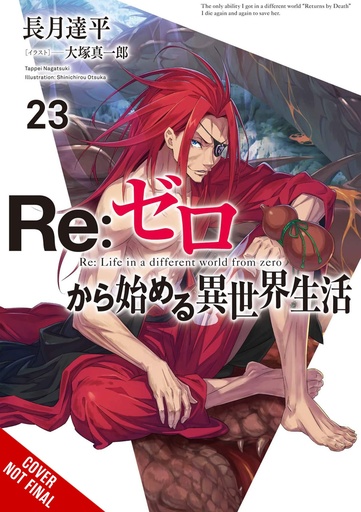 RE ZERO SLIAW LIGHT NOVEL 23