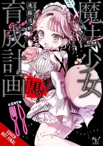 MAGICAL GIRL RAISING PROJECT LIGHT NOVEL 13