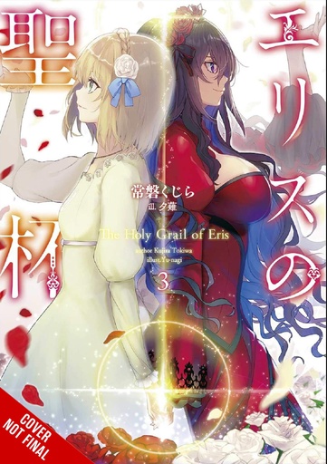 HOLY GRAIL OF ERIS LIGHT NOVEL 03