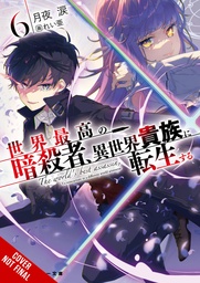WORLDS FINEST ASSASSIN REINCARNATED WORLD NOVEL 06