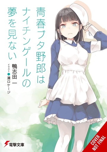RASCAL DOES NOT DREAM LIGHT NOVEL 11
