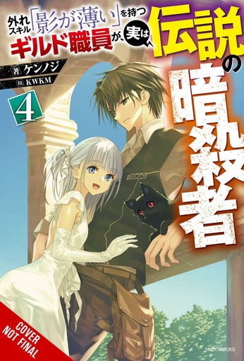 HAZURE SKILL LEGENDARY ASSASSIN NOVEL 04
