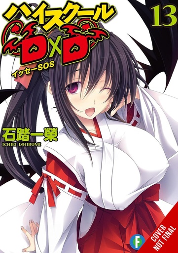 HIGH SCHOOL DXD LIGHT NOVEL 13