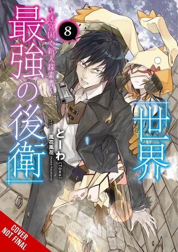WORLD STRONGEST REARGUARD LABYRINTH NOVICE NOVEL 08