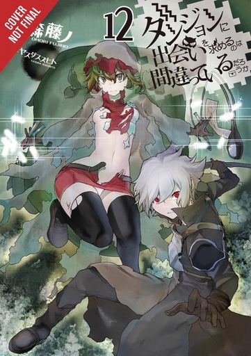 IS WRONG PICK UP GIRLS DUNGEON NOVEL 12