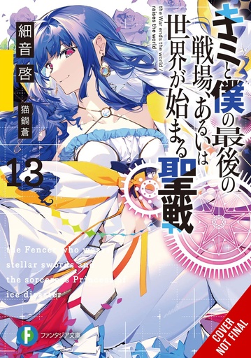 LAST CRUSADE RISE NEW WORLD LIGHT NOVEL 13