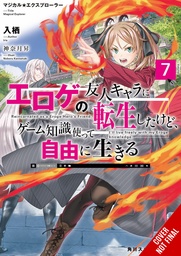MAGICAL EXPLORER LIGHT NOVEL 07