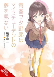 RASCAL DOES NOT DREAM LIGHT NOVEL 12