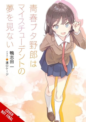 RASCAL DOES NOT DREAM LIGHT NOVEL 12