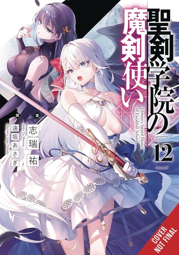 DEMON SWORD MASTER EXCALIBUR ACADEMY NOVEL 12