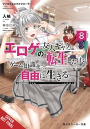 MAGICAL EXPLORER LIGHT NOVEL 08