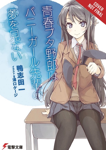 RASCAL DOES NOT DREAM BUNNY GIRL SENPAI NOVEL 01