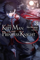 KEPT MAN OF PRINCESS KNIGHT LIGHT NOVEL 03