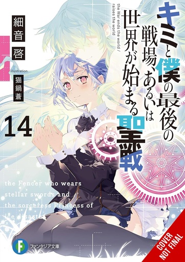 LAST CRUSADE RISE NEW WORLD LIGHT NOVEL 14