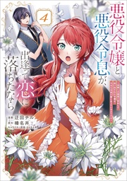 IF VILLAINESS & VILLAIN MET & FELL IN LOVE NOVEL 04