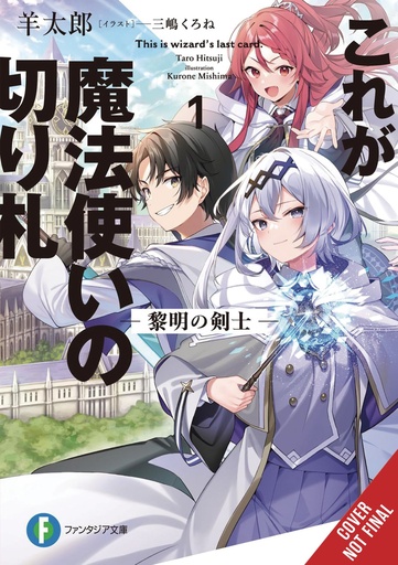 THIS IS THE WIZARDS SECRET WEAPON LIGHT NOVEL 01