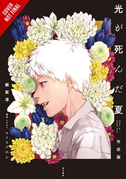 SUMMER HIKARU DIED LIGHT NOVEL