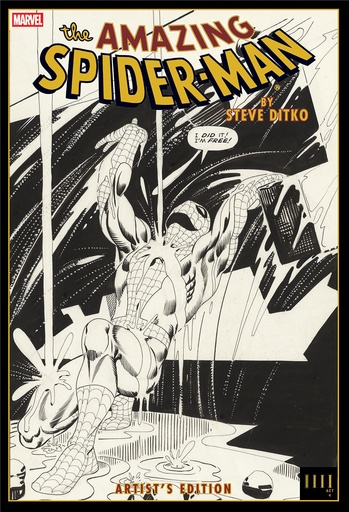 AMAZING SPIDER MAN BY STEVE DITKO ARTISTS ED HC RAIN CVR