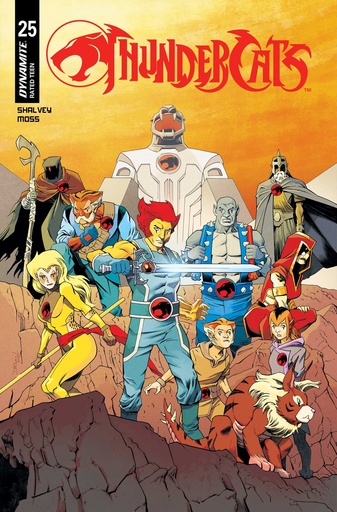 THUNDERCATS #25 CVR B DECLAN SHALVEY VAR