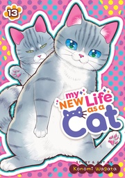 MY NEW LIFE AS A CAT 13