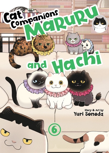 CAT COMPANIONS MARURU AND HACHI 6
