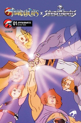 THUNDERCATS X SILVERHAWKS 1 CVR E ANIMATION ART VAR