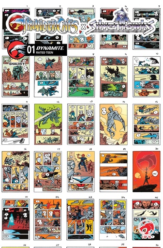 THUNDERCATS X SILVERHAWKS 1 CVR I INC 1:10 DECLAN SHALVEY LA