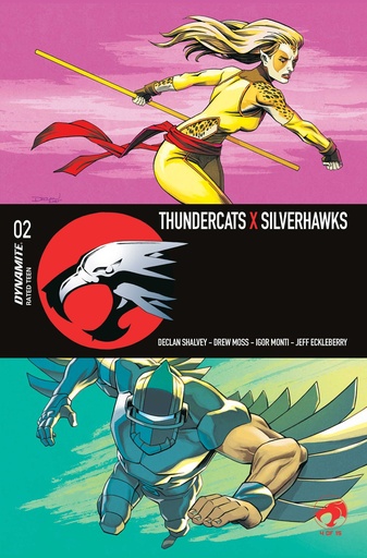 THUNDERCATS X SILVERHAWKS 2 CVR A DECLAN SHALVEY