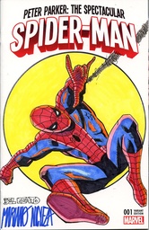 DF MARVEL COMICS COMMISSIONED CVR ART BY NICIEZA DELBEATO SP