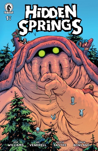 HIDDEN SPRINGS 1 (CVR B) (PYE PARR)