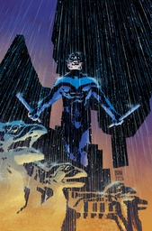 NIGHTWING 138 CVR B DANI CARD STOCK VAR