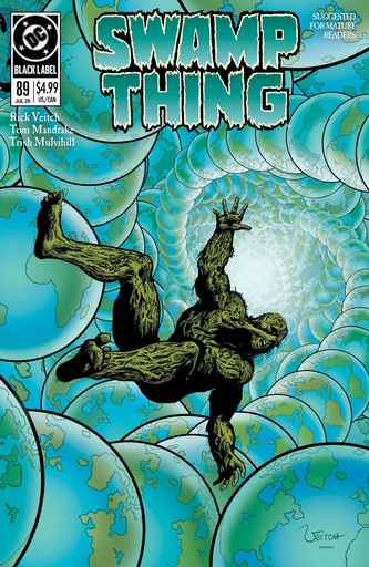 SWAMP THING 1989 2 CVR A RICK VEITCH