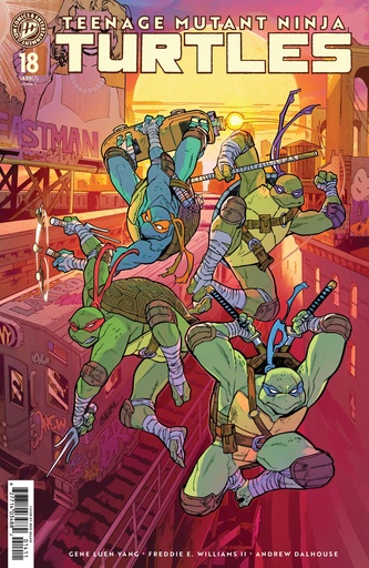 TMNT 18 VARIANT C (BAL?M)