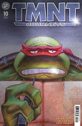 TMNT JOURNEYS 10 VARIANT RI (10) FOIL (DOONEY & LAWSON)