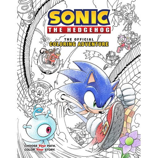 SONIC HEDGEHOG OFFICIAL COLORING ADVENTURE
