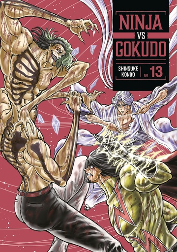 NINJA VS GOKUDO 13