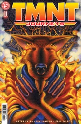 TMNT JOURNEYS 11 CVR A (DOONEY & LAWSON)