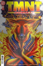 TMNT JOURNEYS 11 VAR RI (10) FOIL (DOONEY & LAWSON)