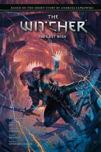 ANDRZEJ SAPKOWSKIS WITCHER LAST WISH
