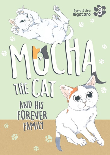 MOCHA CAT HIS FOREVER FAMILY 3