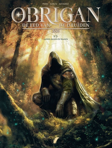 Obrigan - de eed van de druïden HC 1