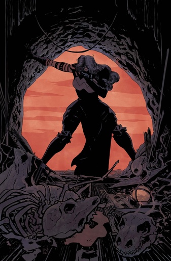 ABSOLUTE WONDER WOMAN 21 CVR A HAYDEN SHERMAN