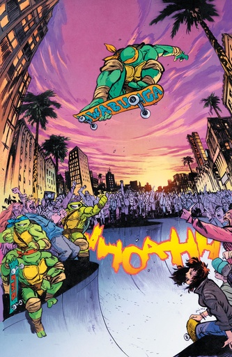 Teenage Mutant Ninja Turtles #13 Variant RI (75) (Johnson Fu