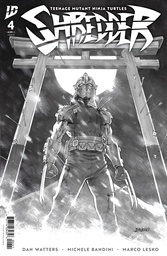 Teenage Mutant Ninja Turtles: Shredder #4 Variant RI (10) (B