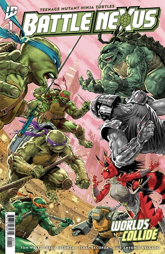 Teenage Mutant Ninja Turtles: Battle Nexus #1 Cover A (Escor