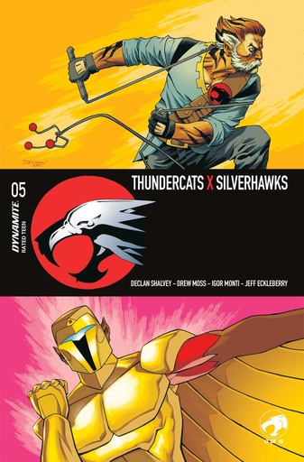 THUNDERCATS X SILVERHAWKS 5 CVR A DECLAN SHALVEY