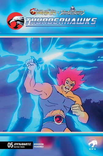 THUNDERCATS X SILVERHAWKS THUNDERHAWKS 5 CVR E ANIMATION ART