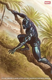 CIVIL WAR UNMASKED 3 ALEX ROSS MARVEL DIMENSIONS VAR
