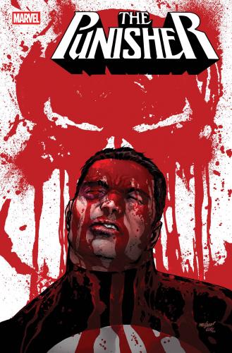 PUNISHER 6